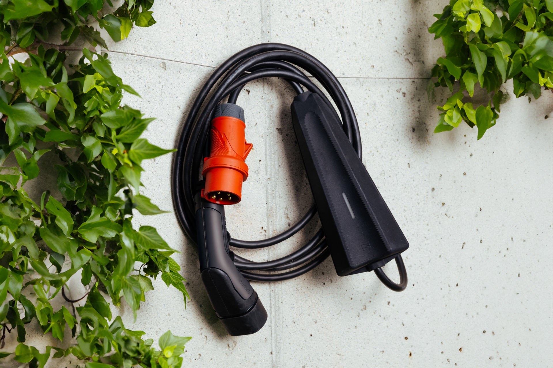 Ein aufgerolltes schwarzes NEcharge One Ladekabel mit rotem Stecker von NEcharge hängt zwischen grünen Blättern an einer Wand und bietet als mobile Ladestation bequemes 3-Phasen-Laden.