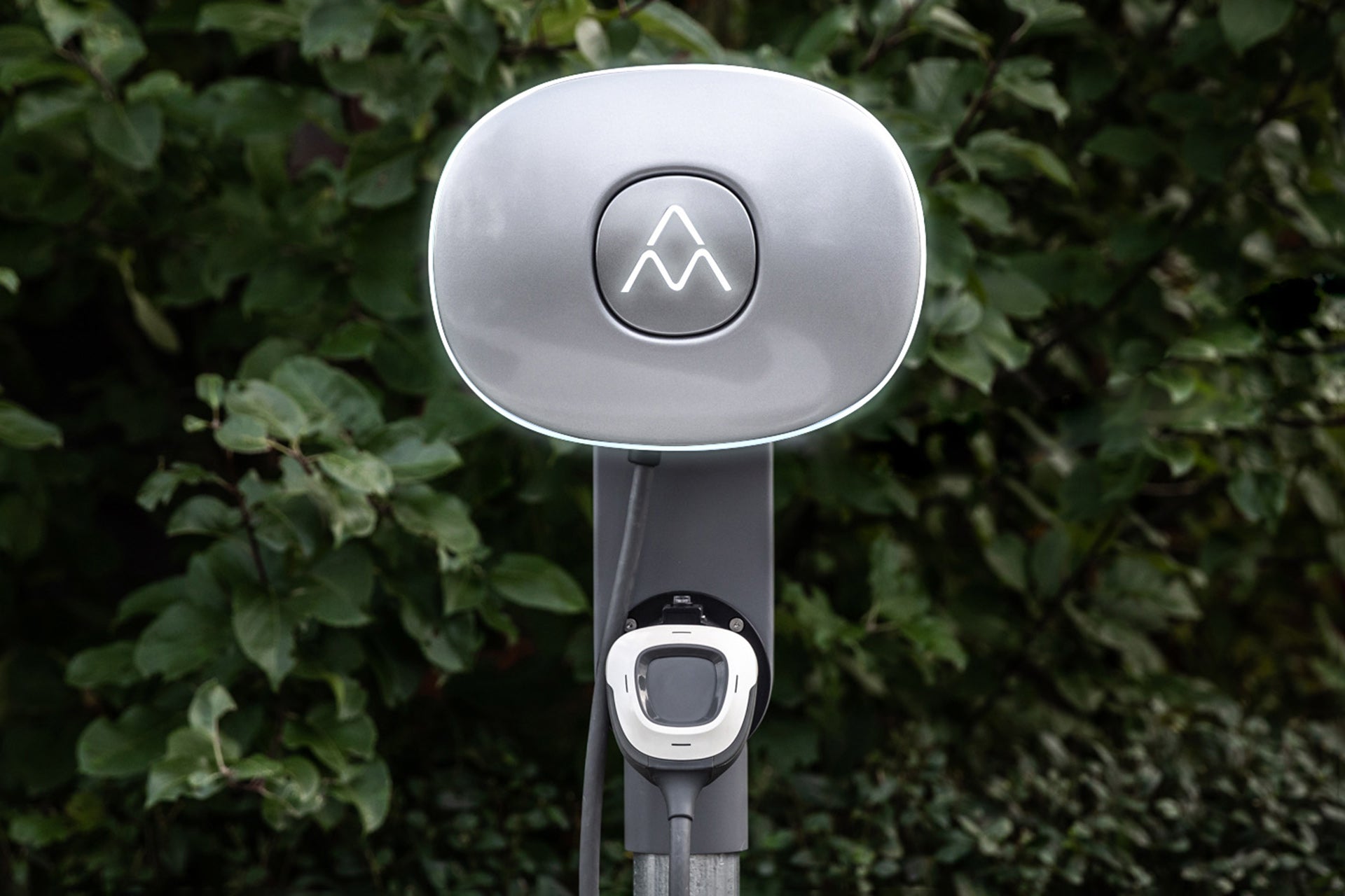 Ein Charge Amps Halo von Charge Amps aus recyceltem Aluminium mit Kabel ist im Freien inmitten grüner Blattpflanzen montiert.